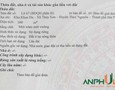 Mua Bán nhà đất