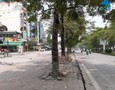 Mua Bán nhà đất