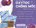 Mua sắm, Tổng Hợp