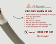 Điện lạnh, Máy, Gia dụng