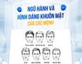 Mua sắm, Tổng Hợp