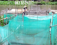 Cơ hội giao thương