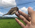 Cơ hội giao thương