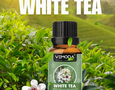 Mua sắm, Tổng Hợp
