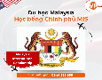 Mua sắm, Tổng Hợp