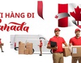 Cơ hội giao thương