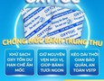 Mua sắm, Tổng Hợp