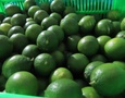 Mua Bán nhà đất