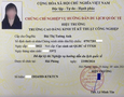 Mua sắm, Tổng Hợp