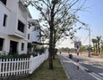 Mua Bán nhà đất
