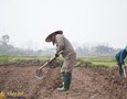 Đồ nội thất