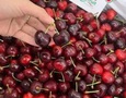 Cơ hội giao thương