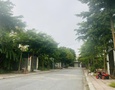 Mua Bán nhà đất
