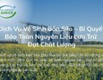 Đồ nội thất