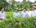 Điện lạnh, Máy, Gia dụng