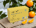 Điện lạnh, Máy, Gia dụng
