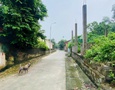 Mua Bán nhà đất