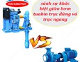 Cơ hội giao thương