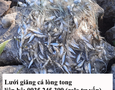 Cơ hội giao thương