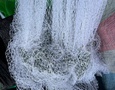 Mua sắm, Tổng Hợp
