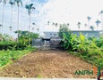 Mua Bán nhà đất