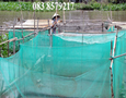 Cơ hội giao thương