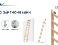 Cơ hội giao thương