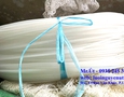Cơ hội giao thương