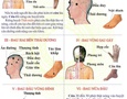 Mua sắm, Tổng Hợp