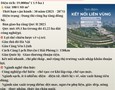 Mua Bán nhà đất
