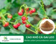 Cơ hội giao thương