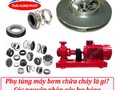 Cơ hội giao thương
