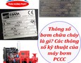 Cơ hội giao thương