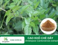 Cơ hội giao thương