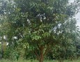 Dịch vụ sửa chữa