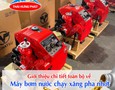 Cơ hội giao thương