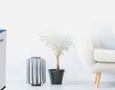 Điện lạnh, Máy, Gia dụng