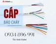Điện tử, Kỹ thuật số