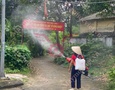 Vườn, Ngoại thất