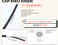 Cơ hội giao thương
