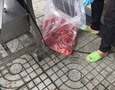 Điện lạnh, Máy, Gia dụng