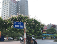 Mua Bán nhà đất