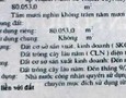 Mua Bán nhà đất