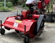 Vườn, Ngoại thất