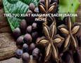 Cơ hội giao thương