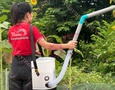 Vườn, Ngoại thất