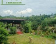 Mua Bán nhà đất