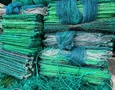 Cơ hội giao thương