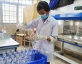 Điện lạnh, Máy, Gia dụng