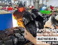 Điện lạnh, Máy, Gia dụng